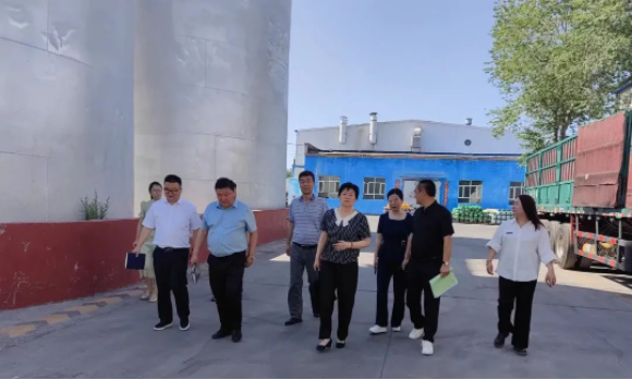 提信心 促發(fā)展|奎屯市副市長(zhǎng)、伊犁州科技局局長(zhǎng)、奎屯市科技局局長(zhǎng)一行調(diào)研金雪馳奎屯工廠